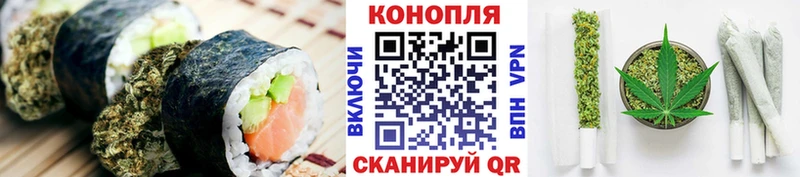 где найти наркотики  Шуя  omg онион  Еда ТГК конопля 