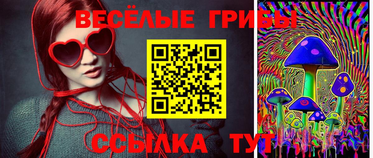 Шуя  Псилоцибиновые грибы Magic Shrooms  Вход с VPN  что такое   Галлюциногенные грибы Psilocybe 