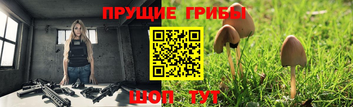 Псилоцибиновые грибы Magic Shrooms Шуя